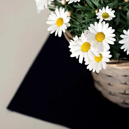 Apartamento Casa Primavera *