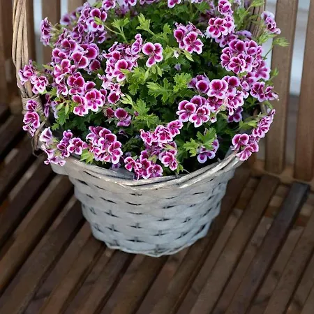 Casa Primavera